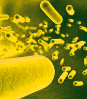 MRGN/ PDF Verlinkung