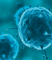 Norovirus/ PDF Verlinkung